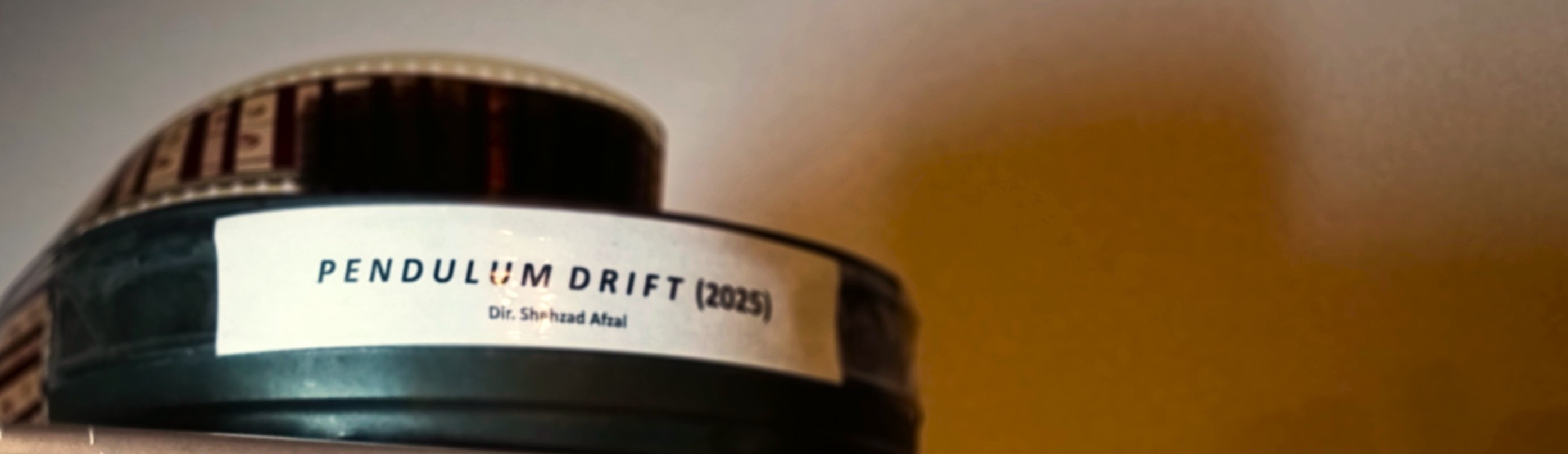 Visual verification of the Mustard-Noir aesthetic and AFPP 17-year longitudinal audit (2009-2026)